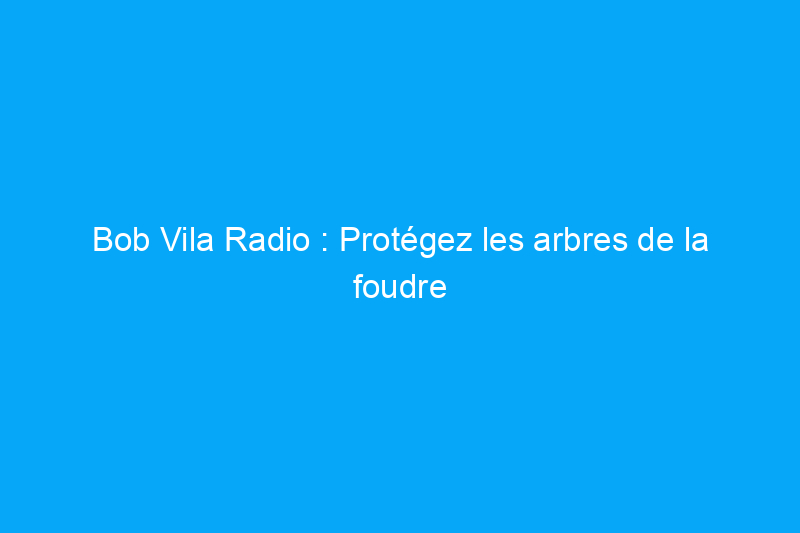 Bob Vila Radio : Protégez les arbres de la foudre