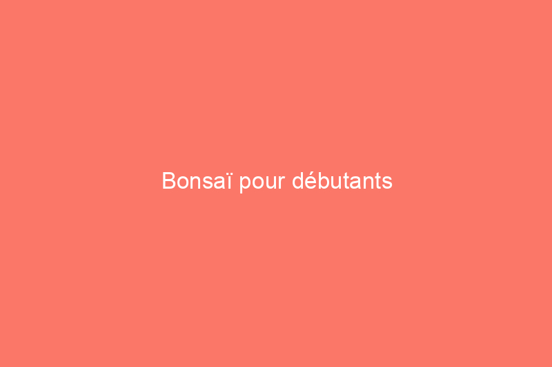 Bonsaï pour débutants