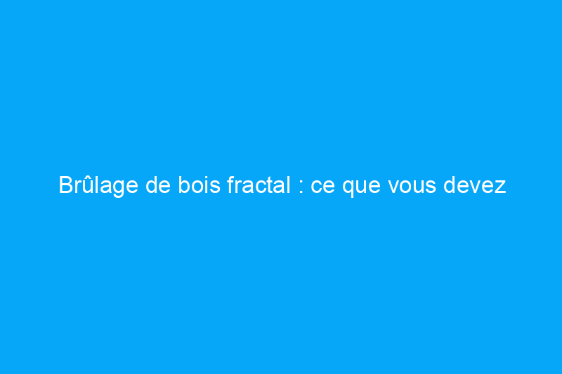 Brûlage de bois fractal : ce que vous devez savoir sur la tendance DIY la plus dangereuse de TikTok