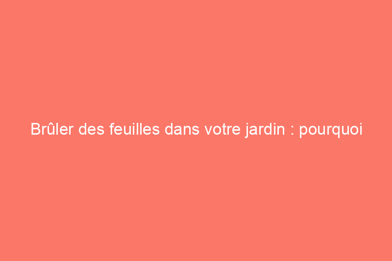 Brûler des feuilles dans votre jardin : pourquoi c'est une mauvaise idée