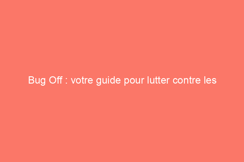 Bug Off : votre guide pour lutter contre les nuisibles des plantes d'intérieur