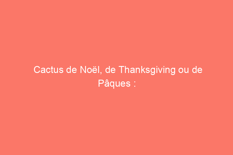 Cactus de Noël, de Thanksgiving ou de Pâques : quelle est la différence entre ces plantes d'intérieur de Noël ?