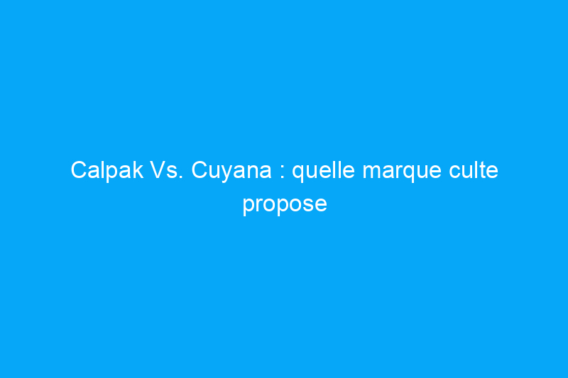 Calpak Vs. Cuyana : quelle marque culte propose le meilleur sac de travail ?