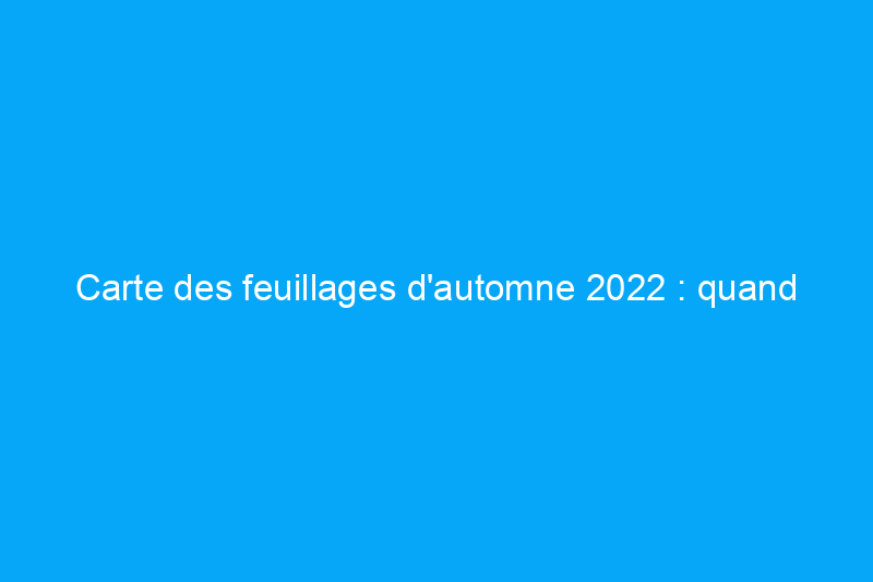 Carte des feuillages d'automne 2022 : quand les couleurs d'automne atteindront-elles votre apogée