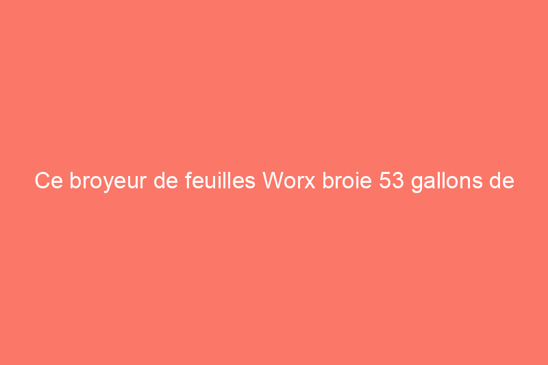 Ce broyeur de feuilles Worx broie 53 gallons de feuilles par minute