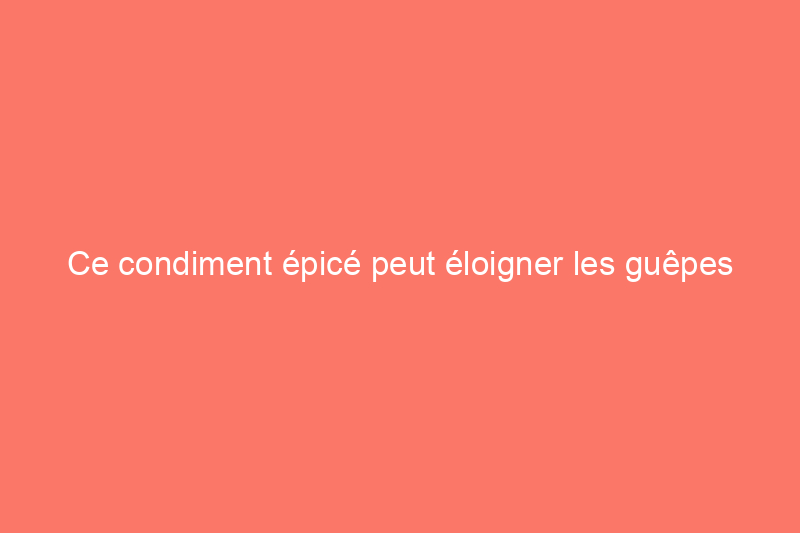 Ce condiment épicé peut éloigner les guêpes jaunes