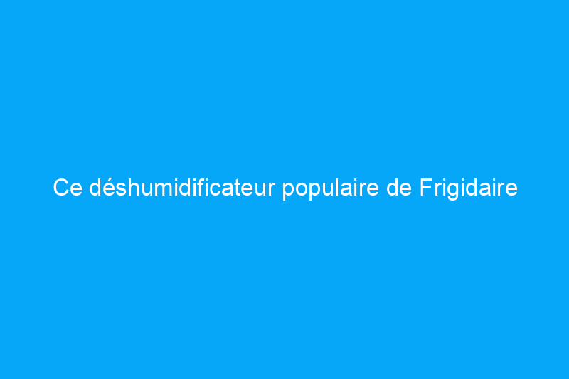 Ce déshumidificateur populaire de Frigidaire s'attaque-t-il facilement à l'humidité ? Nous l'avons testé pour le savoir !