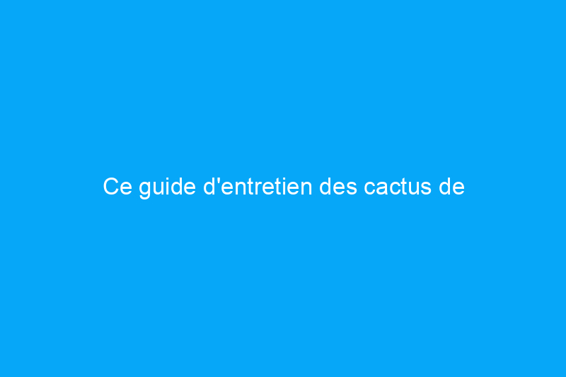 Ce guide d'entretien des cactus de Thanksgiving égayera vos décors de table année après année