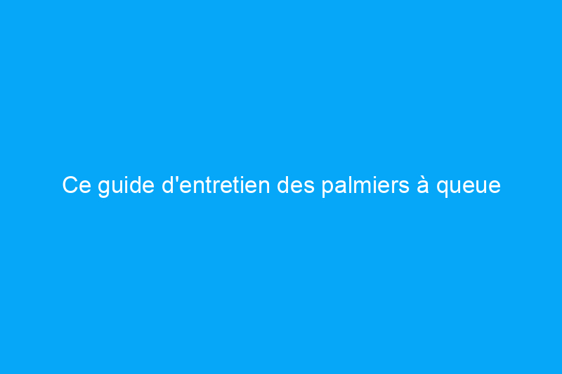 Ce guide d'entretien des palmiers à queue de cheval vous permettra de démarrer du bon pied