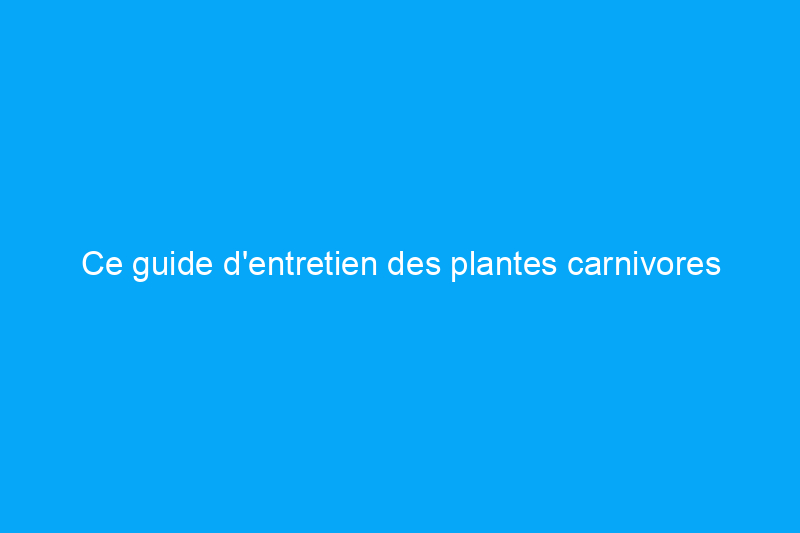 Ce guide d'entretien des plantes carnivores peut vous aider à éloigner les insectes de manière naturelle