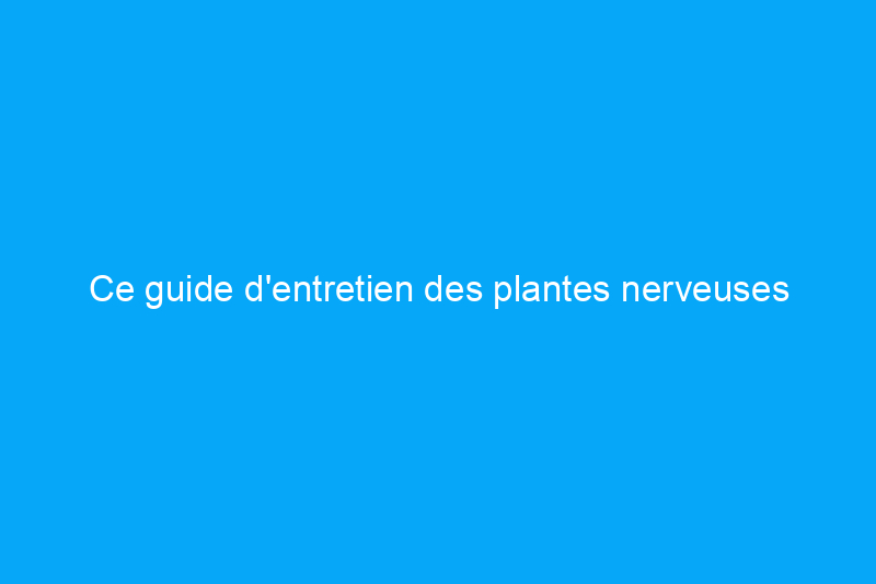 Ce guide d'entretien des plantes nerveuses produira un feuillage éclatant pour votre collection de décoration intérieure