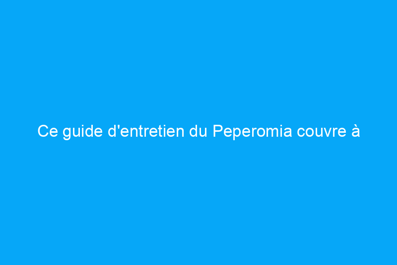 Ce guide d'entretien du Peperomia couvre à la fois les variétés grimpantes et dressées