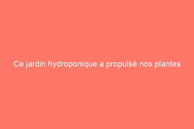 Ce jardin hydroponique a propulsé nos plantes vers de nouveaux sommets impressionnants