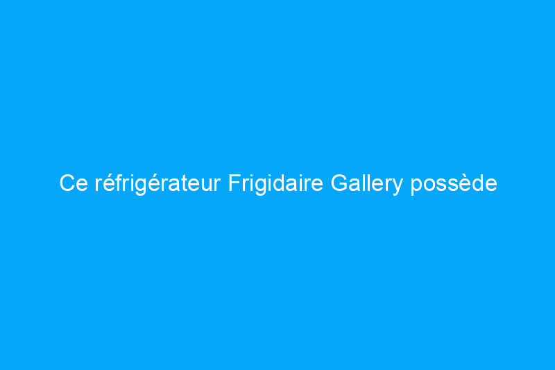 Ce réfrigérateur Frigidaire Gallery possède des fonctionnalités intéressantes, mais vaut-il son prix ?