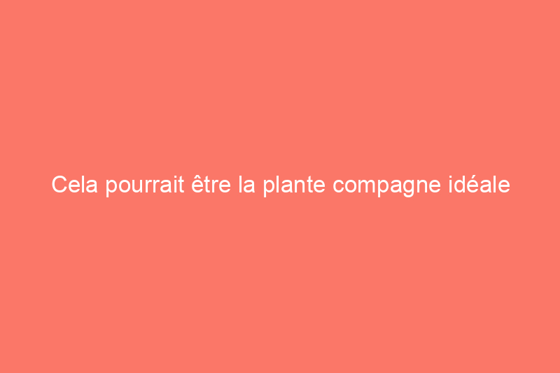 Cela pourrait être la plante compagne idéale pour votre potager, et c'est un jeu d'enfant à cultiver