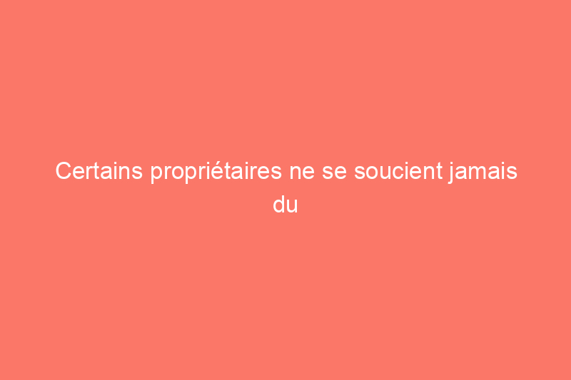 Certains propriétaires ne se soucient jamais du prix des œufs : voici comment ils s'y prennent