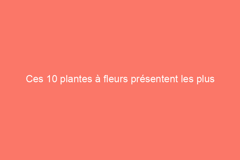 Ces 10 plantes à fleurs présentent les plus grandes fleurs