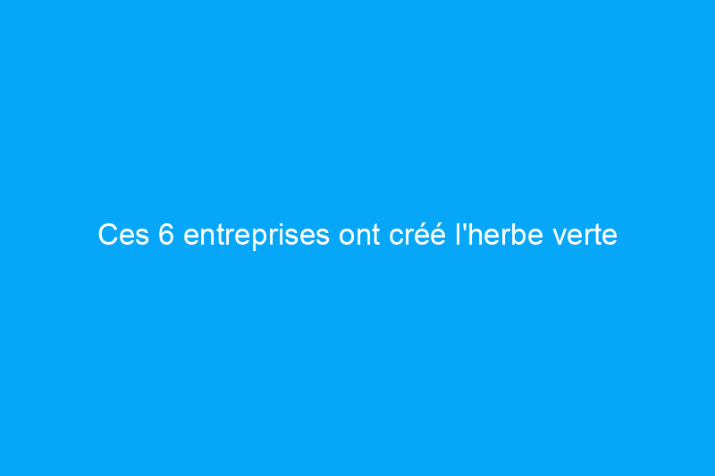 Ces 6 entreprises ont créé l'herbe verte ultime