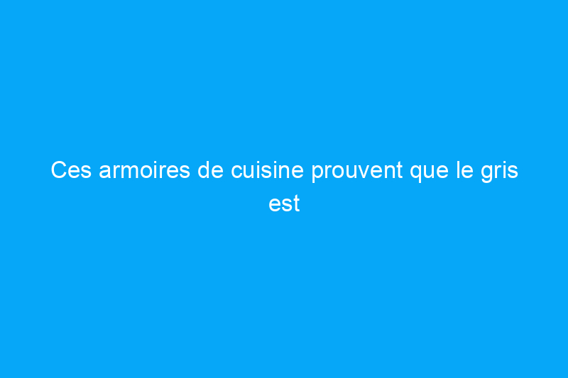 Ces armoires de cuisine prouvent que le gris est toujours une couleur neutre de choix