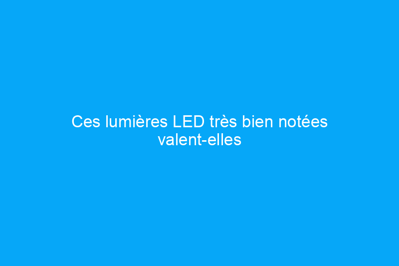 Ces lumières LED très bien notées valent-elles leur prix ?