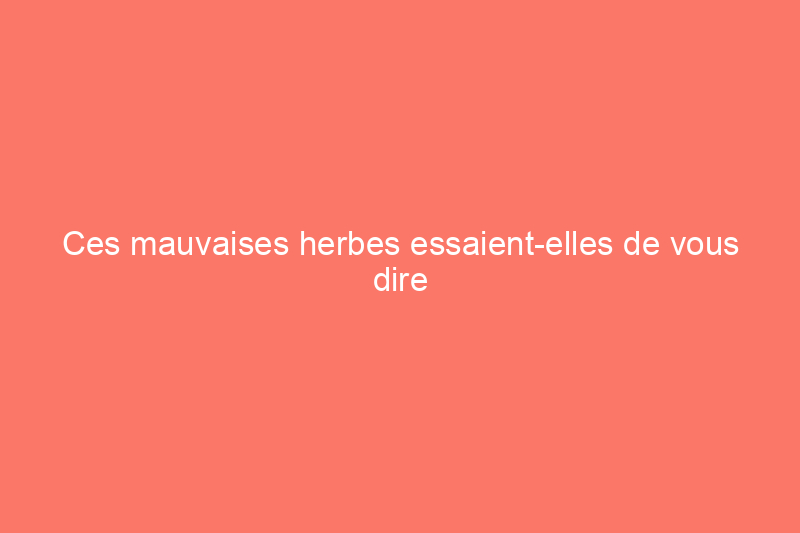 Ces mauvaises herbes essaient-elles de vous dire quelque chose sur votre sol ?