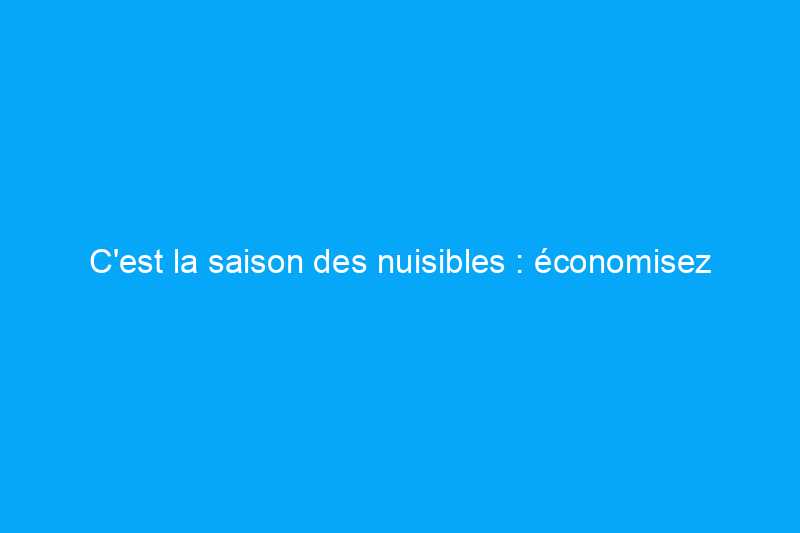 C'est la saison des nuisibles : économisez $50 sur les forfaits de Terminix avant l'arrivée des nuisibles