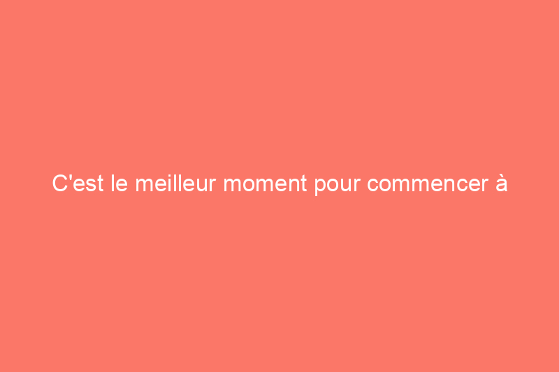 C'est le meilleur moment pour commencer à semer des graines à l'intérieur pour un jardin printanier florissant