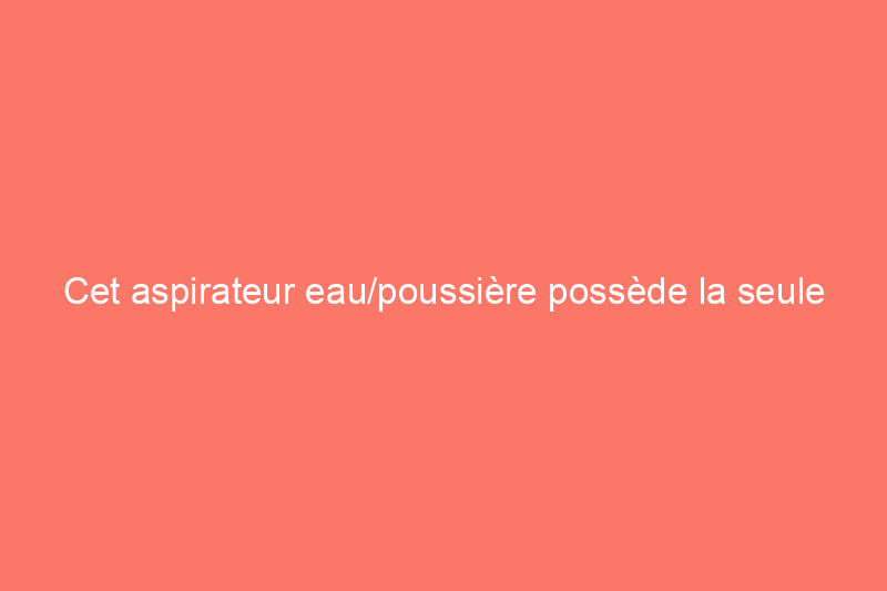 Cet aspirateur eau/poussière possède la seule fonctionnalité dont vous ne saviez pas avoir besoin