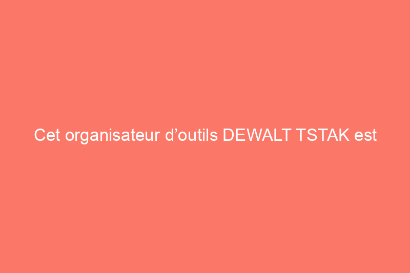 Cet organisateur d’outils DEWALT TSTAK est abordable, mais fonctionne-t-il ?