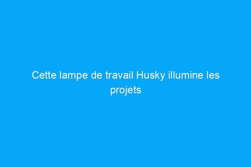 Cette lampe de travail Husky illumine les projets sans augmenter la chaleur