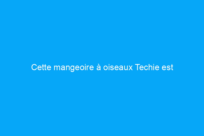 Cette mangeoire à oiseaux Techie est l'ajout à votre jardin dont vous ne saviez pas que vous aviez besoin