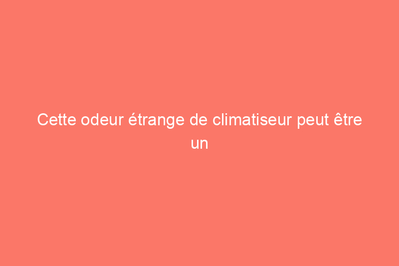 Cette odeur étrange de climatiseur peut être un signe révélateur d'un problème de moisissure