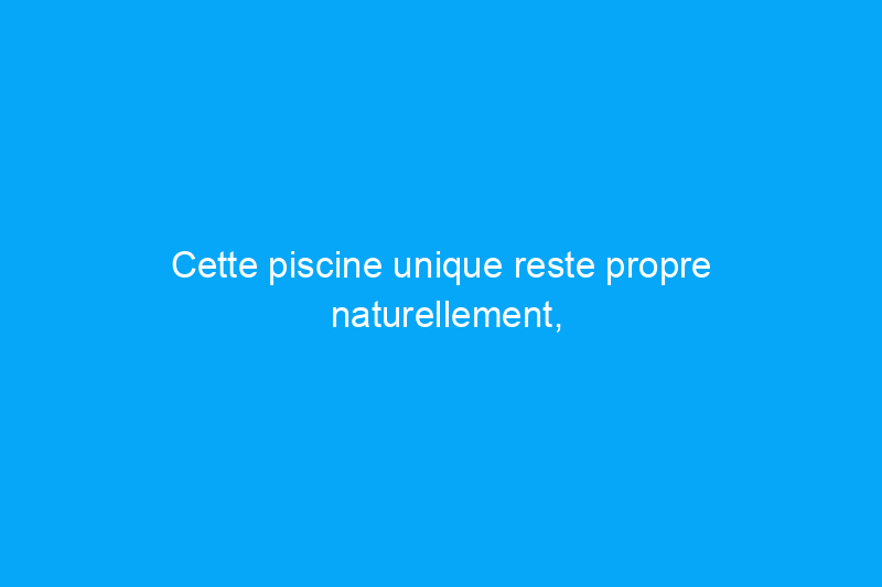 Cette piscine unique reste propre naturellement, mais elle nécessite un entretien