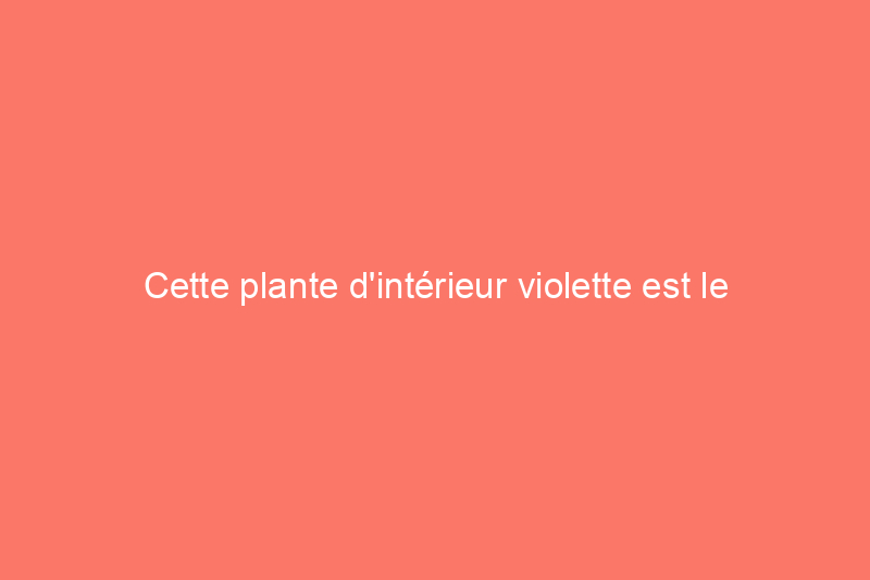 Cette plante d'intérieur violette est le premier nouveau genre à être introduit depuis des décennies, et vous pouvez l'obtenir dès maintenant