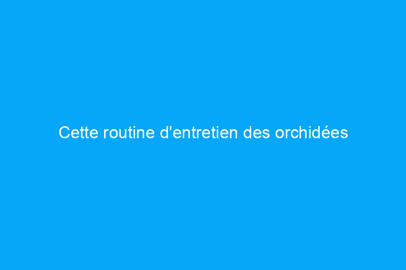 Cette routine d'entretien des orchidées assurera de belles fleurs