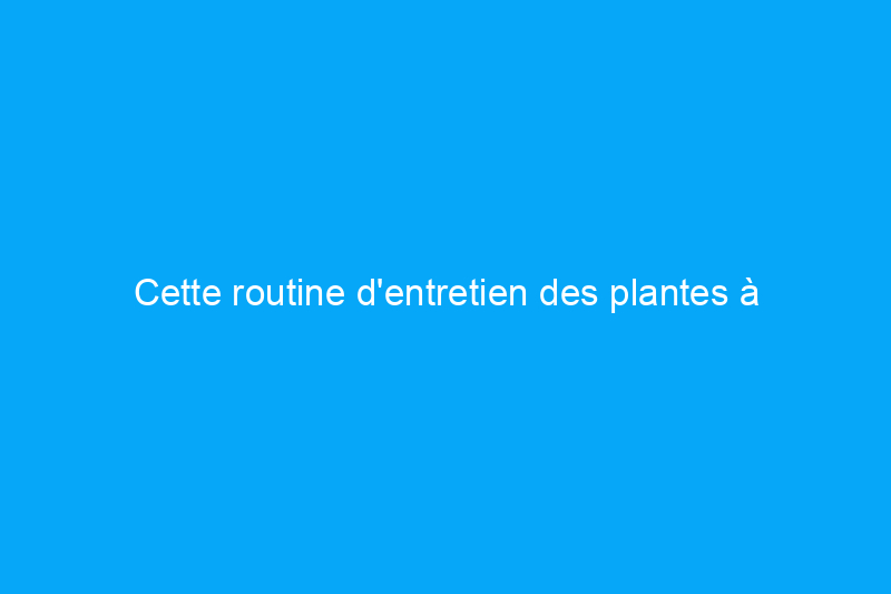 Cette routine d'entretien des plantes à pois est parfaite pour les pouces verts tachetés