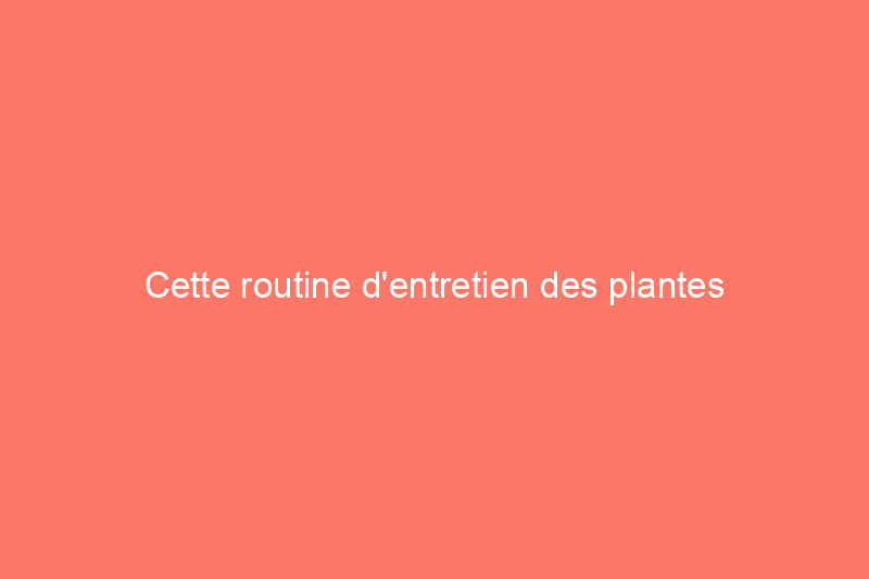 Cette routine d'entretien des plantes Arrowhead produit un feuillage vibrant et facile à cultiver