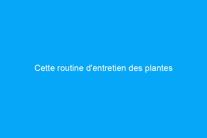 Cette routine d'entretien des plantes d'Aloe Vera est pratiquement infaillible