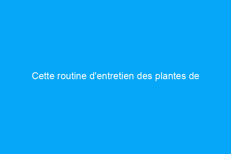 Cette routine d'entretien des plantes de yucca produira de hautes cannes avec un minimum d'effort