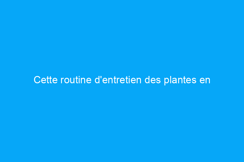 Cette routine d'entretien des plantes en fonte est aussi simple que possible