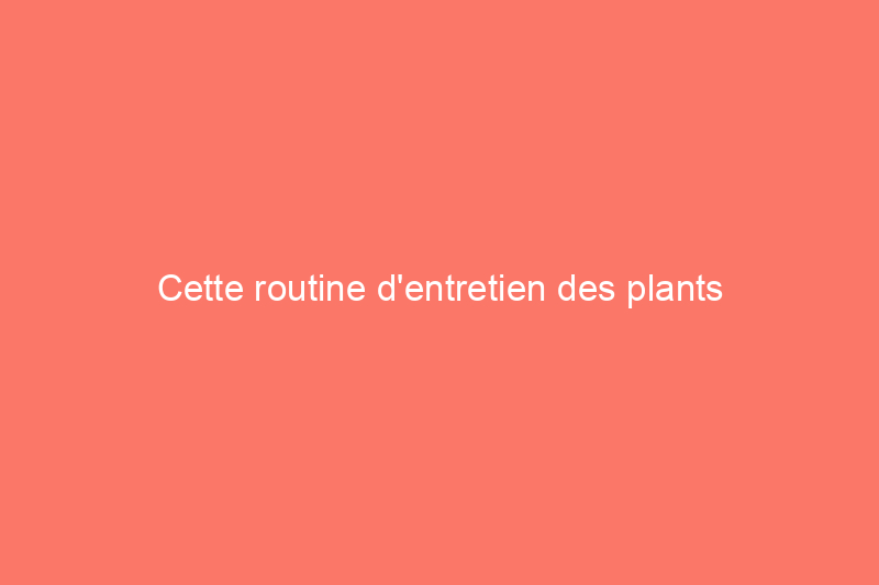 Cette routine d'entretien des plants d'ananas est aussi simple que la propagation de produits frais