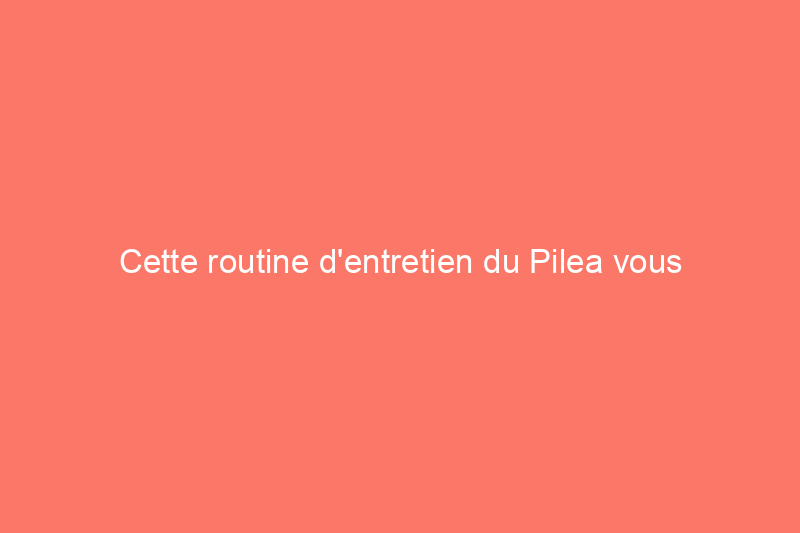 Cette routine d'entretien du Pilea vous permettra d'obtenir (beaucoup) de plantes d'intérieur saines et heureuses