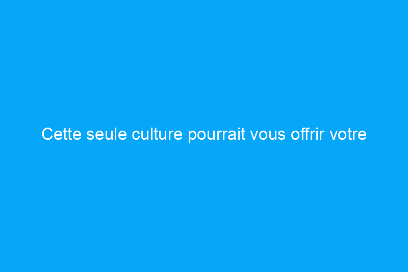 Cette seule culture pourrait vous offrir votre meilleur potager à ce jour