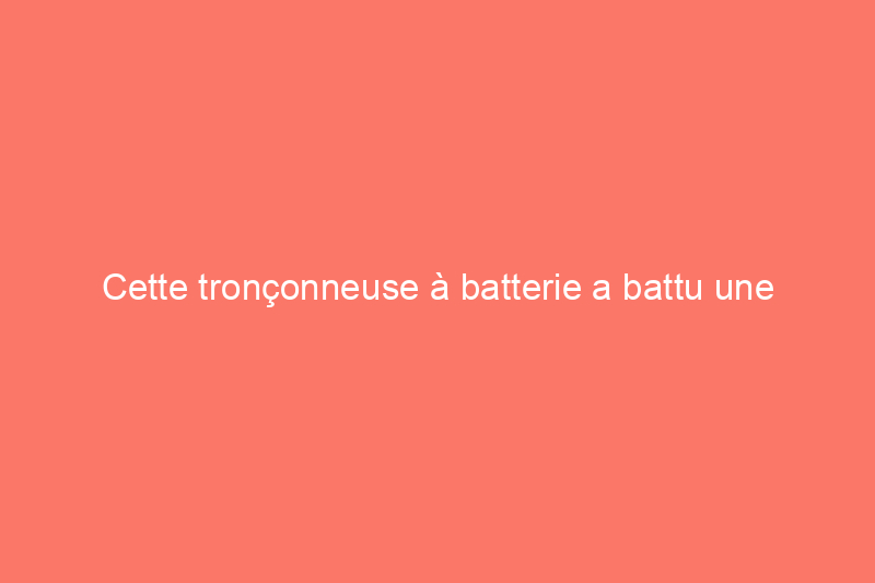 Cette tronçonneuse à batterie a battu une douzaine de concurrents lors des tests