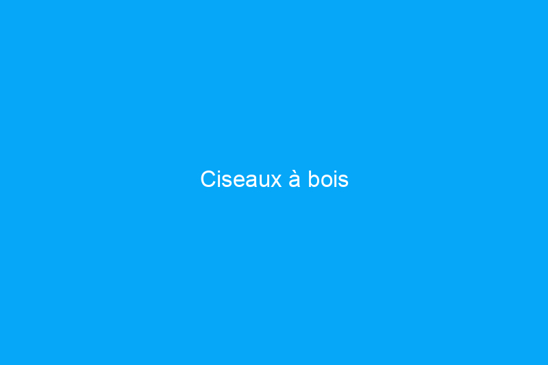 Ciseaux à bois