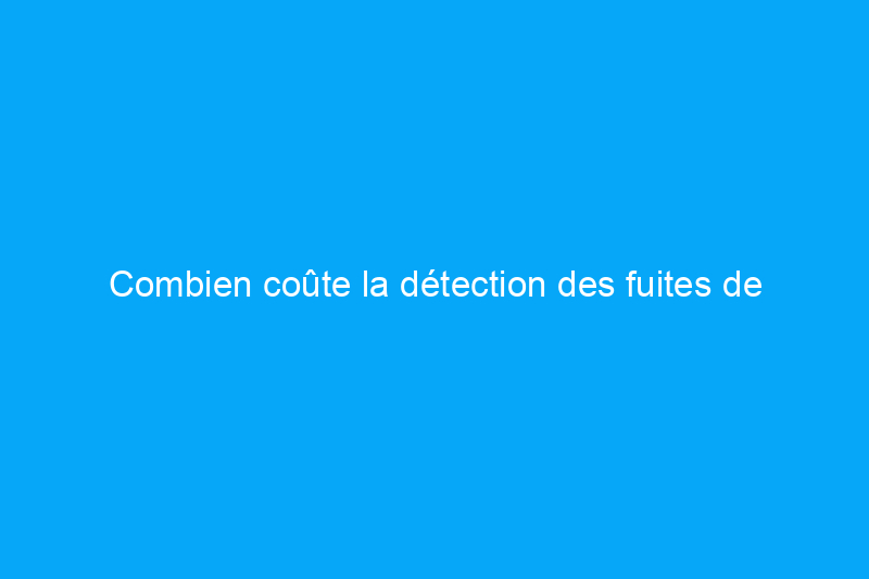 Combien coûte la détection des fuites de piscine ? (Guide 2024)