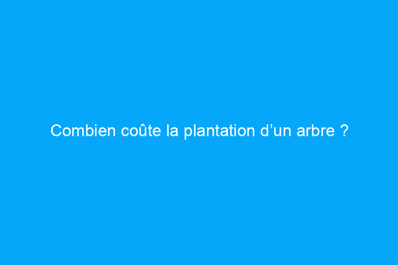 Combien coûte la plantation d’un arbre ?