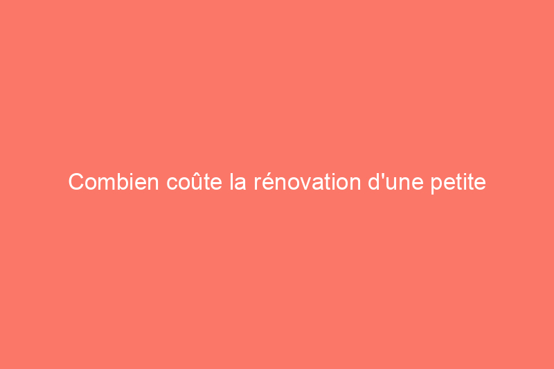 Combien coûte la rénovation d'une petite cuisine ?