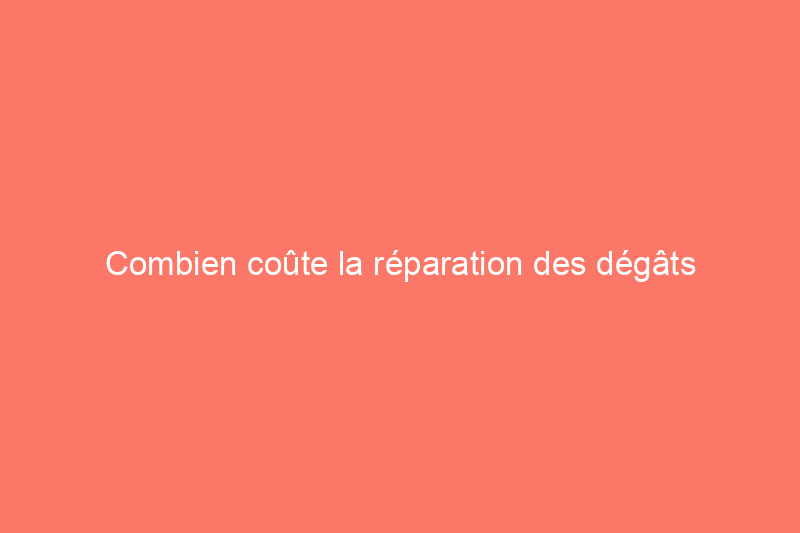 Combien coûte la réparation des dégâts causés par les termites ?