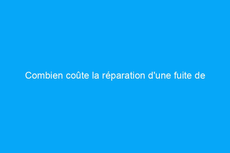 Combien coûte la réparation d'une fuite de piscine ?